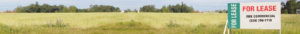 commercial land for lease